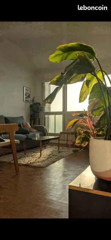 Beau F1/studio 30m2 - vue exceptionnelle